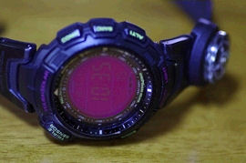 CASIO PROTREK PRG-110CJ-1JF